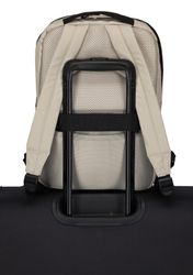 travelite Daypack BASICS Plane RV, Freizeitrucksack günstig online kaufen