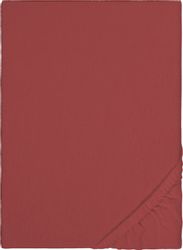 Biberna Spannbettlaken »Biber in Gr. 90x200, 140x200 oder 180x200 cm« aus B günstig online kaufen