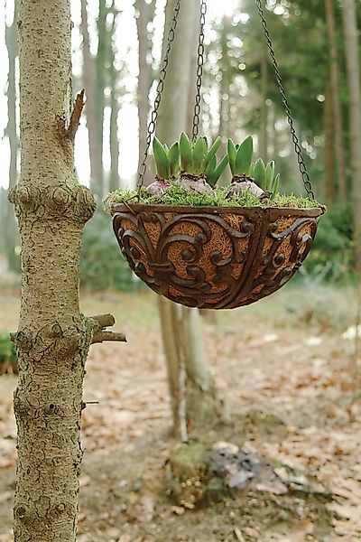 esschert design Wandhaken, (Set, 3-St), Blumenhaken günstig online kaufen