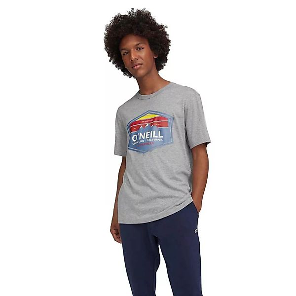 O´neill Mtn Horizon Kurzärmeliges T-shirt M Silver Melee günstig online kaufen