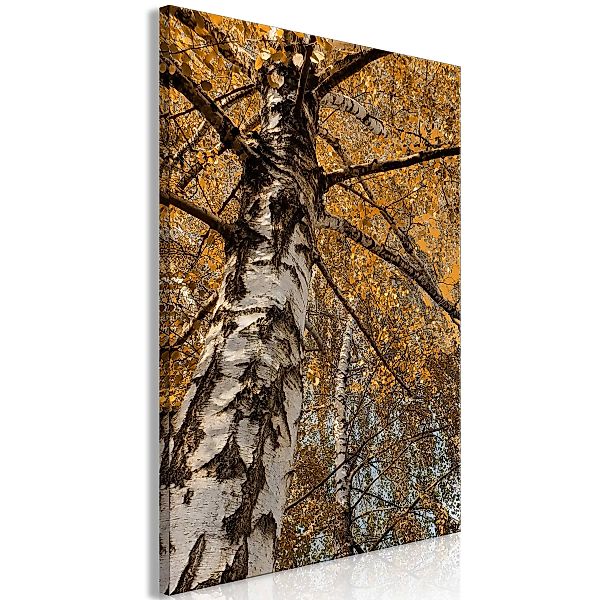Wandbild - Autumn Colours (1 Part) Vertical günstig online kaufen