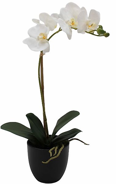 Creativ green Kunstorchidee "Orchidee Phalaenopsis", mit täuschend echten B günstig online kaufen