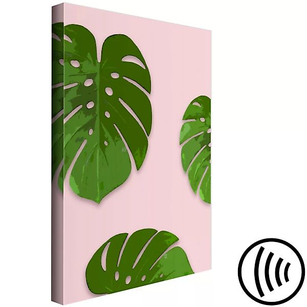 Leinwandbild Schwebende Exotik – tropische Monstera-Blätter auf einem einfa günstig online kaufen