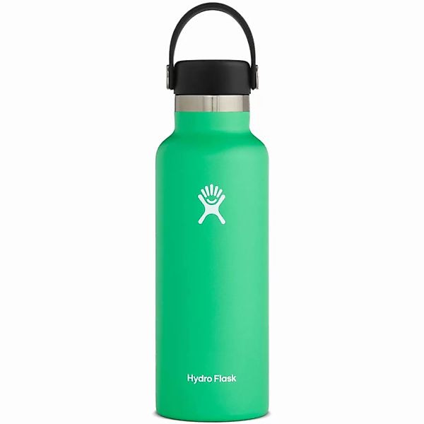 Hydro Flask 18 OZ Standard Mouth Flex Cap - Spearmint günstig online kaufen