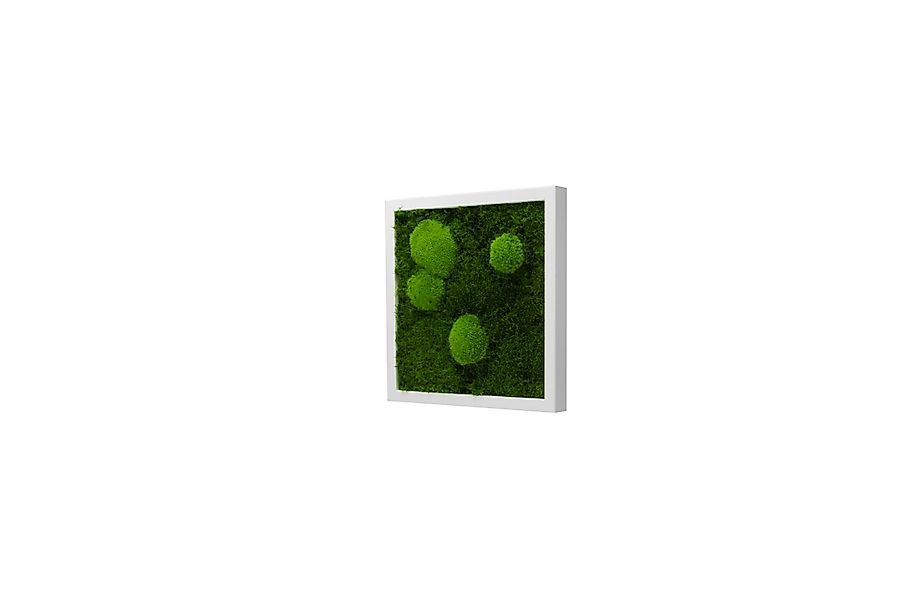 Moos-Design Bilderrahmen Moos Bild Forest Design günstig online kaufen