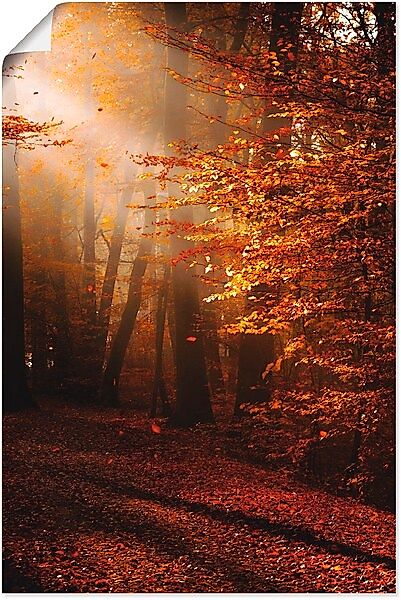 Artland Wandbild »Sonnenaufgang im Herbst«, Wald, (1 St.), als Leinwandbild günstig online kaufen