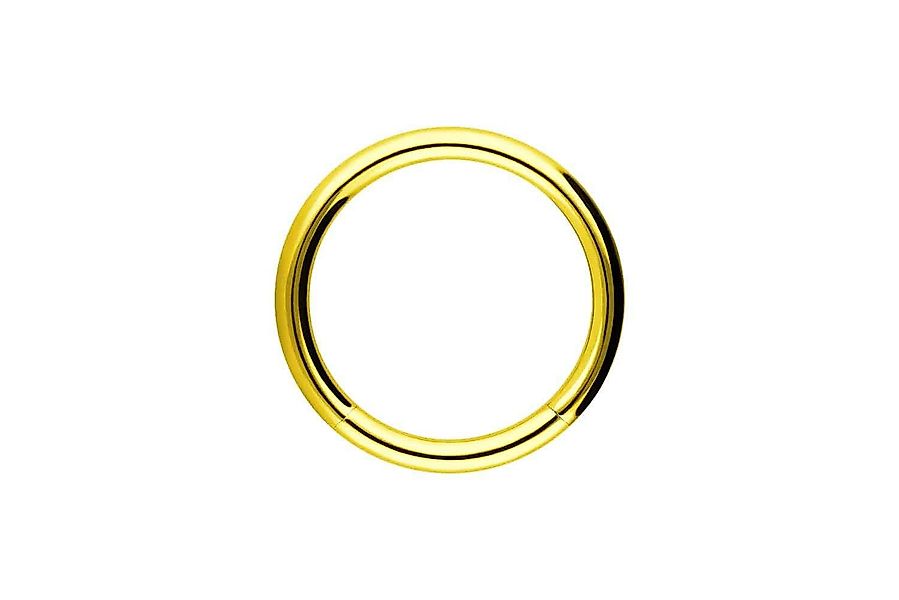 PIERCINGLINE Piercing-Set Chirurgenstahl Segmentring (Klemm-Ringe / günstig online kaufen