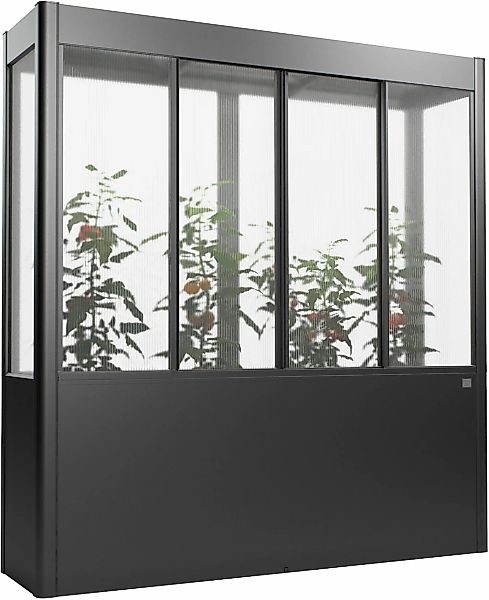 Biohort Gewächshaus "Florentina Gr. 2x0,5 MAXI, verschiedene Farben" Kompak günstig online kaufen