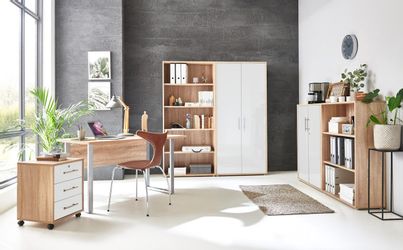 BMG Möbel Büromöbel-Set Office Edition Mini günstig online kaufen