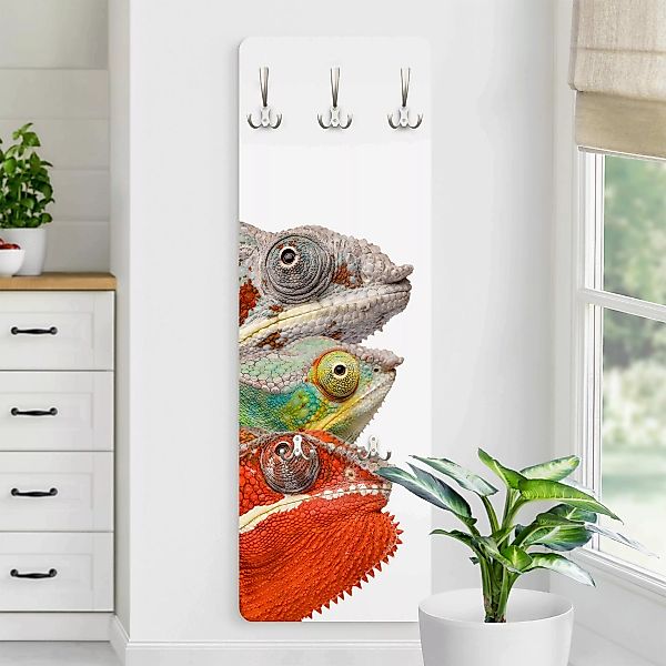 Wandgarderobe Holzpaneel Colourful Chameleon günstig online kaufen