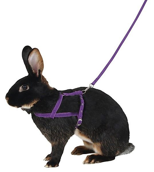 Kerbl Geschirr Schultergeschirr Agility 21 cm günstig online kaufen