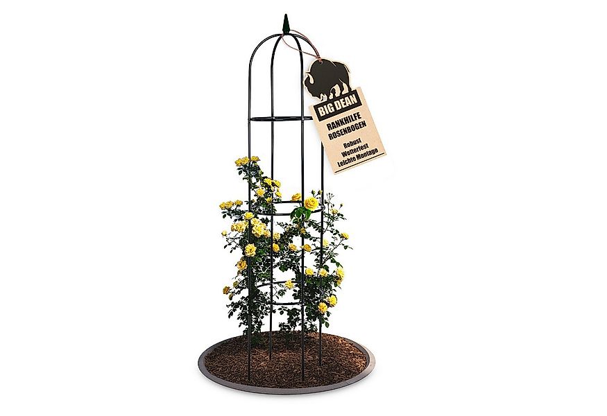 BigDean Rosenbogen Rankhilfe 40 x 200 cm grün witterungsbeständig Packung, günstig online kaufen