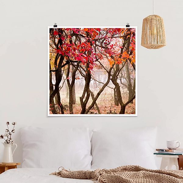 Poster Natur & Landschaft - Quadrat Japan im Herbst günstig online kaufen