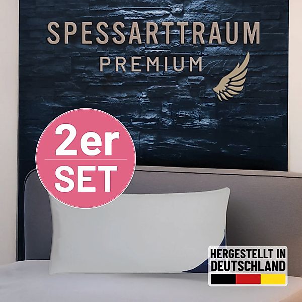 SPESSARTTRAUM Gänsefederkopfkissen "Premium, Kopfkissen 1-tlg. oder 2-tlg. günstig online kaufen