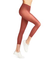 FALKE Feinstrumpfleggings Pure Matt 50 DEN günstig online kaufen