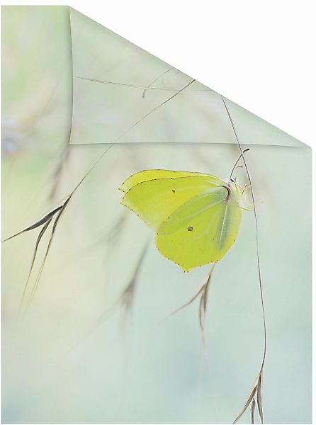 LICHTBLICK ORIGINAL Fensterfolie "Schmetterling Grün" 1 Stk. blickdicht str günstig online kaufen