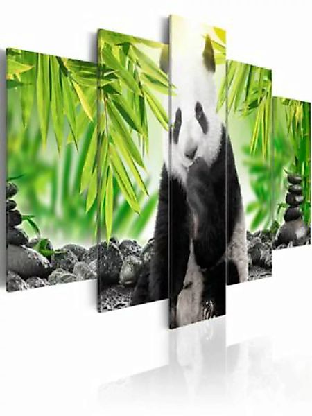 artgeist Wandbild Sweet Little Panda mehrfarbig Gr. 200 x 100 günstig online kaufen