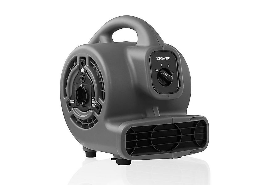 XPOWER Standventilator Elektro-Gebläse P-80A Teppich-Trockner eigene Steckd günstig online kaufen