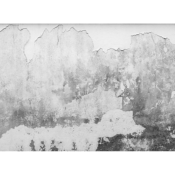 Fototapete Betonwand Putz Industrial Weiß Grau 3,50 m x 2,55 m FSC® günstig online kaufen