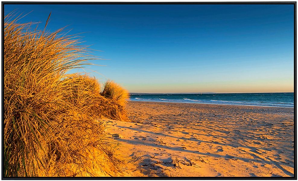 Papermoon Infrarotheizung »Dünen Chelsea Beach Australien« günstig online kaufen