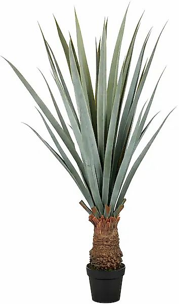 Creativ green Kunstpflanze »Agave angustifolia« in beeindruckender Größe günstig online kaufen