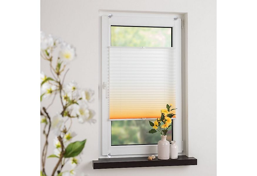 HOMBERA Plissee Farbverlauf, ohne Bohren, verspannt durch 4 Klemmträger, Kl günstig online kaufen