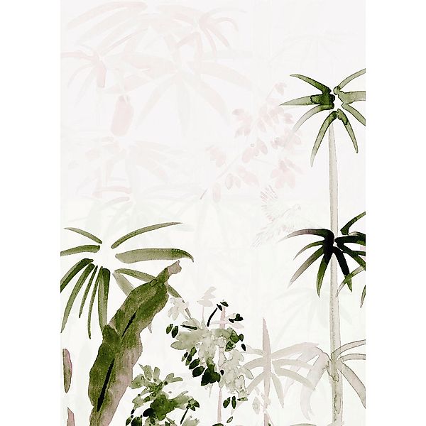 Komar Poster Bamboo Drawing Palmen B/L: ca. 50x70 cm günstig online kaufen