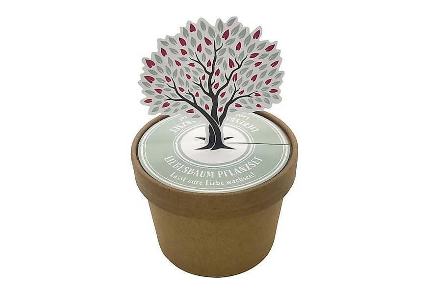 Wunderle Wundertüte Liebesbaum Pott für wachsende Liebe ein Leben lang, Val günstig online kaufen