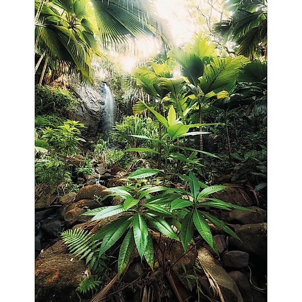 Komar Vliesfototapete Spirit 200 cm x 260 cm günstig online kaufen