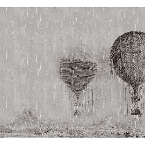 Erismann Digitaltapete Zooom Dreams Never Let Go 270 cm x 300 cm günstig online kaufen