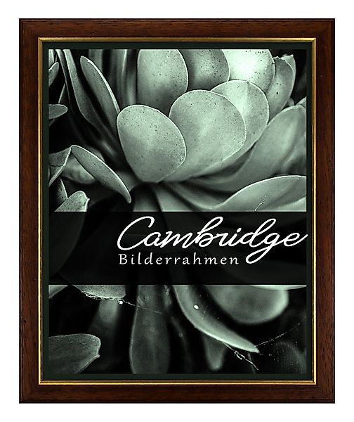 Einzelrahmen Bilderrahmen Cambridge, (1 Stück), 60x85 günstig online kaufen