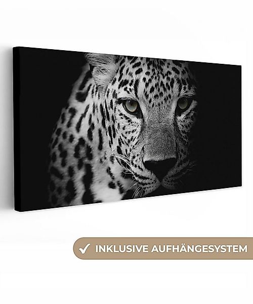 OneMillionCanvasses® Leinwandbild Panorama Tiere - Schwarz - Weiß - Panther günstig online kaufen
