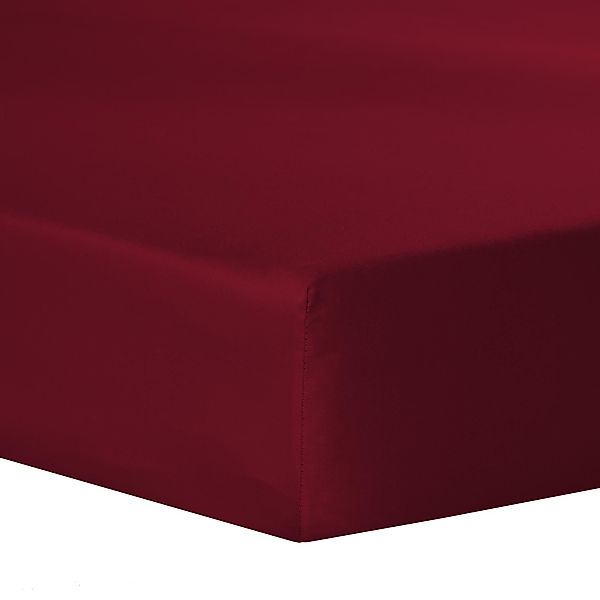 aqua-textil Spannbettlaken Luxury Spannbetttuch Mako Satin günstig online kaufen