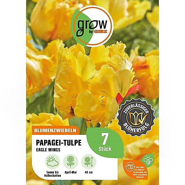 GROW by OBI Papagei-Tulpe Eagle Wings Gelb 7 Stück Tulipa parrot Eagle Wing günstig online kaufen