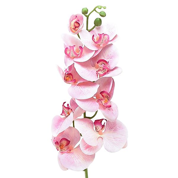 Kunstorchidee Orchidee Phalaenopsis Kunstblume Rosa Weiß günstig online kaufen