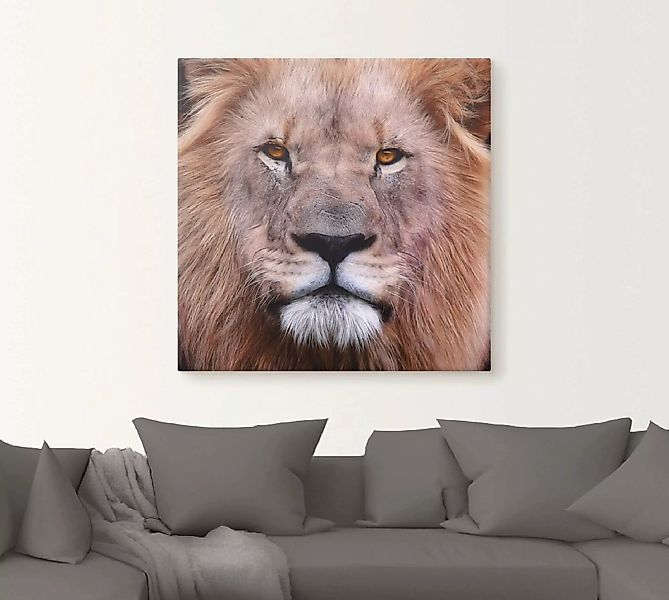 Artland Leinwandbild »König der Löwen«, Wildtiere, (1 St.) günstig online kaufen