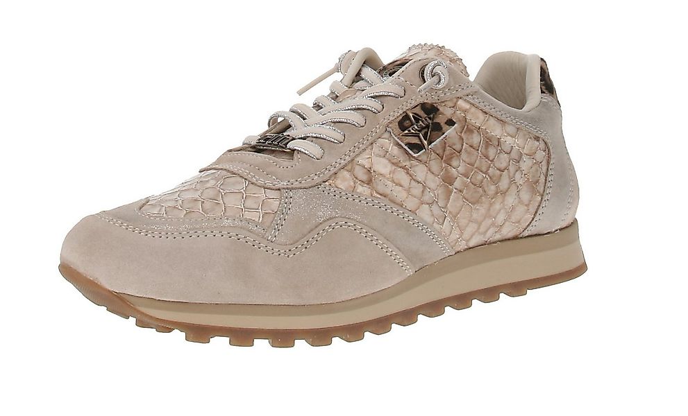 Cetti Cetti C-848 SRA INV26 - Damen Sneaker - Ante-Elba-Hummus Sneaker günstig online kaufen