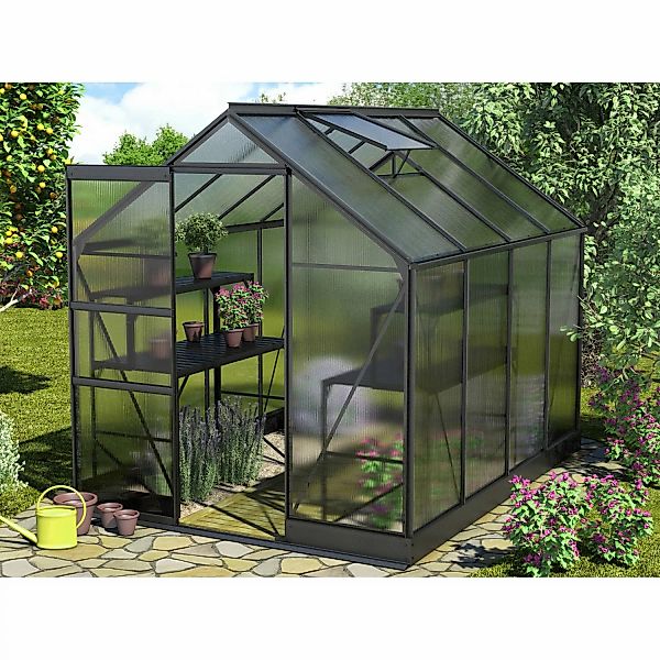 Vitavia Gewächshaus Apollo 5000 Schwarz 5 m² inkl. Fundament günstig online kaufen