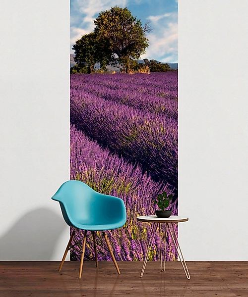 living walls Fototapete "Lavendelfeld in der Provence" glatt Vlies, Wand, S günstig online kaufen