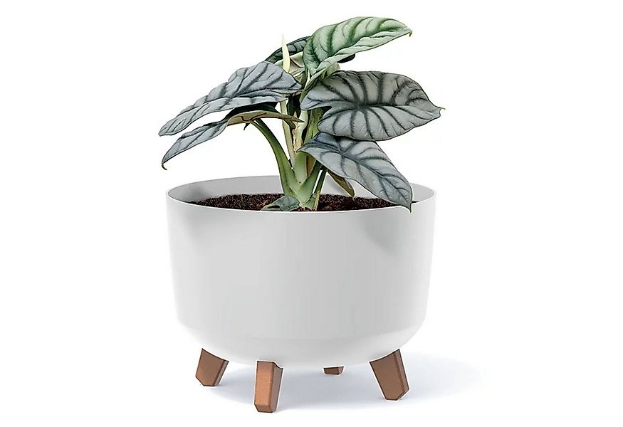 Prosperplast Blumentopf, Blumentopf mit abnehmbaren Beinen Garcia günstig online kaufen