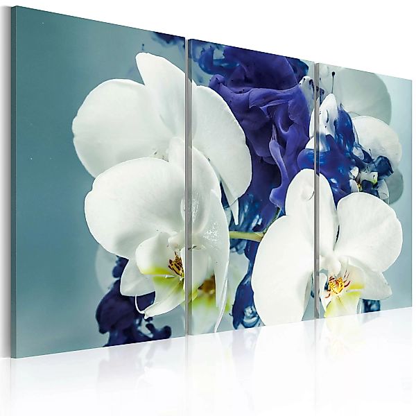 Wandbild - Launische Orchideen günstig online kaufen