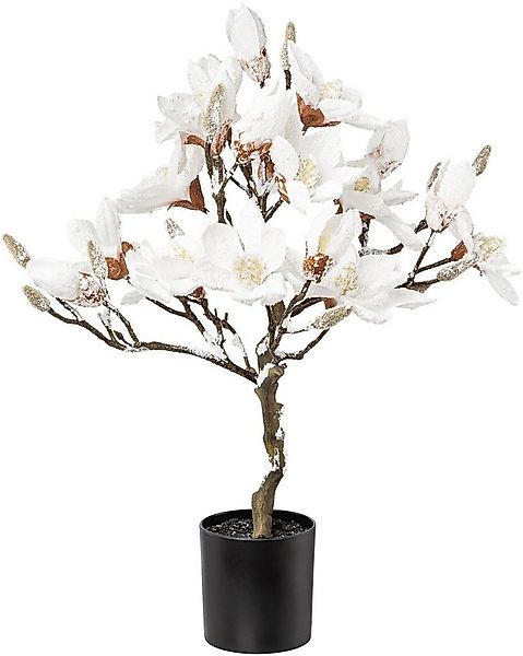 Winterliche Kunstpflanze Weihnachtsdeko Magnolie, Creativ green, Höhe 58 cm günstig online kaufen