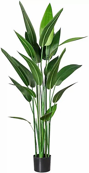 Künstliche Zimmerpflanze Wassercanna Wassercanna, Creativ green, günstig online kaufen