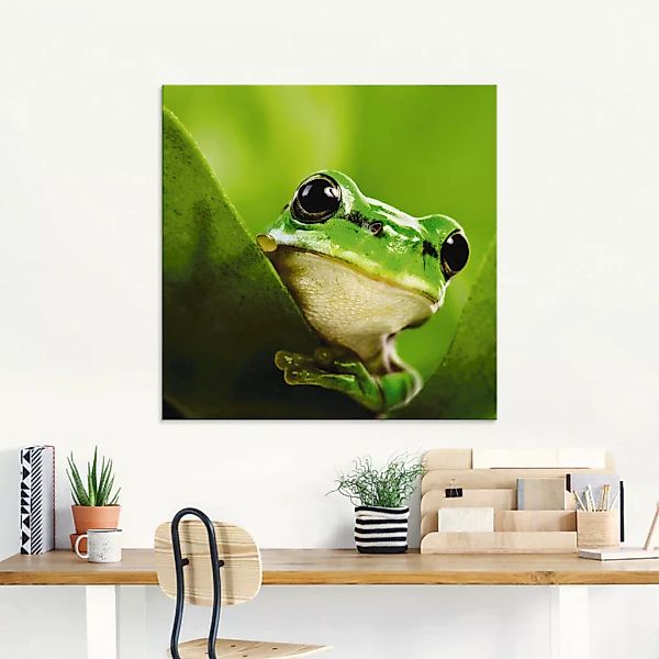Artland Glasbild »Ausspähender Frosch«, Wassertiere, (1 St.), in verschiede günstig online kaufen