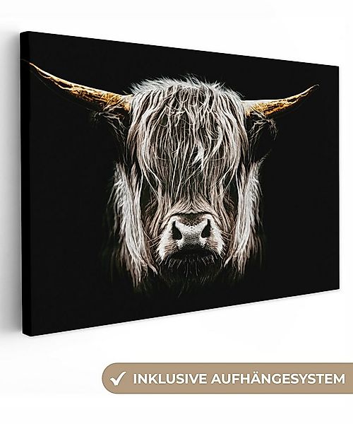 OneMillionCanvasses® Leinwandbild Schottischer Highlander - Gold - Hörner - günstig online kaufen