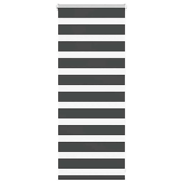 vidaXL Doppelrollo Schwarz 65x100 cm Stoffbreite 60,9 cm Polyester 4014202 günstig online kaufen