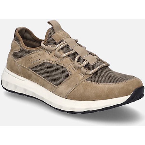 Josef Seibel  Sneaker Cameron 01, brasil günstig online kaufen