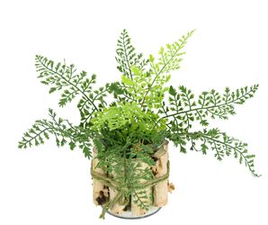 I.GE.A. Kunstpflanze "Farnbusch in Pflanzschale" Vogel Deko Pflanze Grünpfl günstig online kaufen