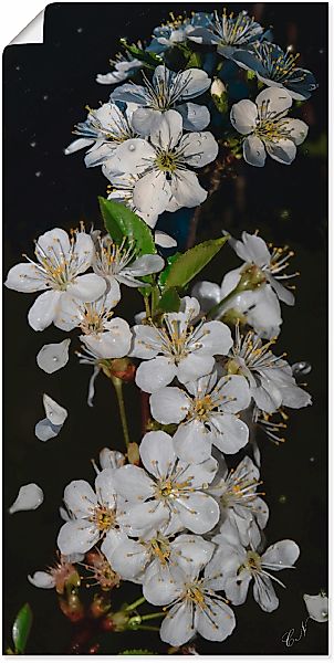 Artland Wandbild "Baumblüte", Blumen, (1 St.), als Leinwandbild, Poster, Wa günstig online kaufen