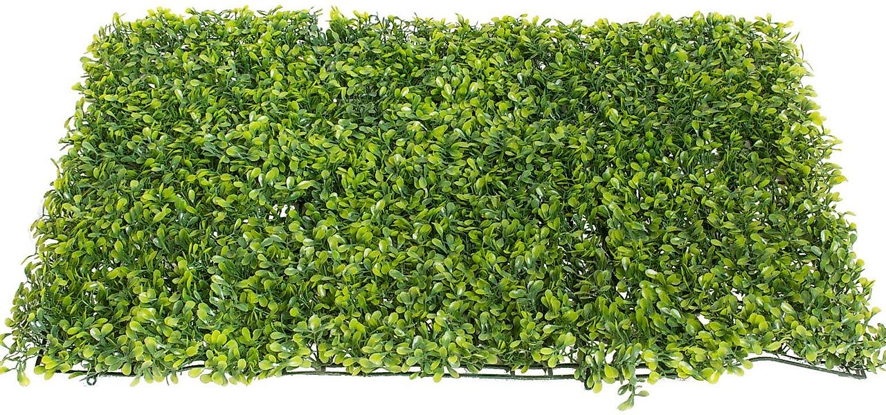 Künstliche Zimmerpflanze Buchsmatte groß Buchs, Botanic-Haus, günstig online kaufen